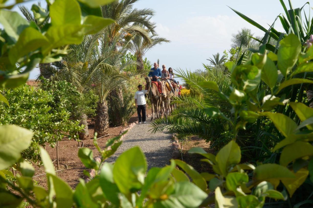 Marrakech Retreat Srarhna