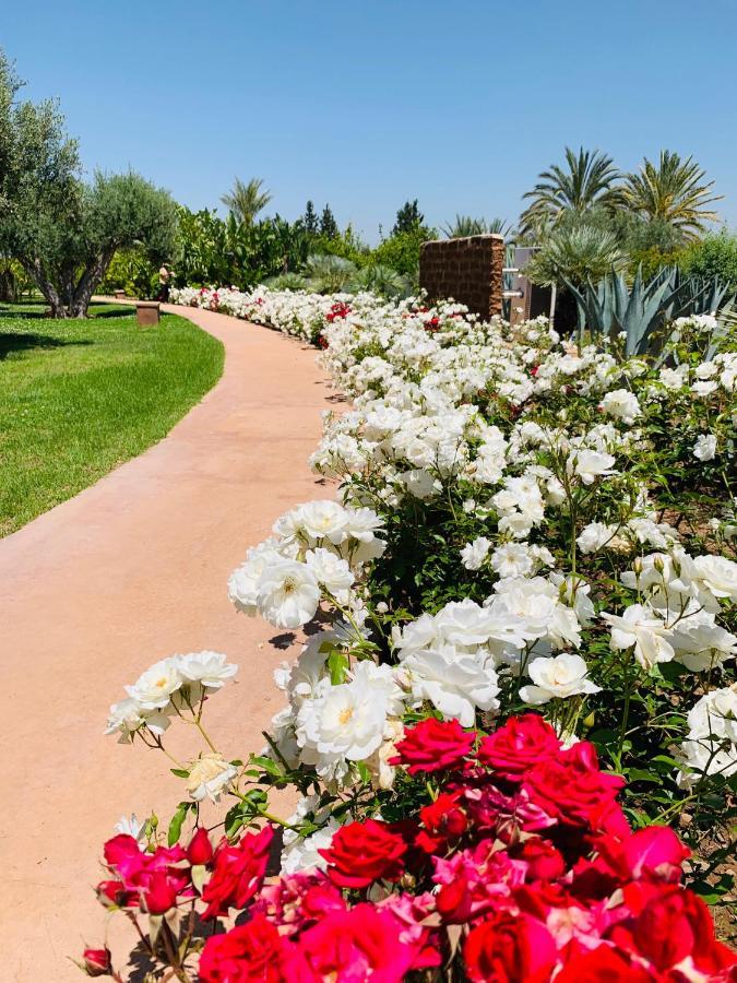 Marrakech Retreat Srarhna